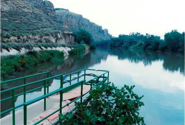 环境气象|空气质量|海洋环境|水质水文|植物生态