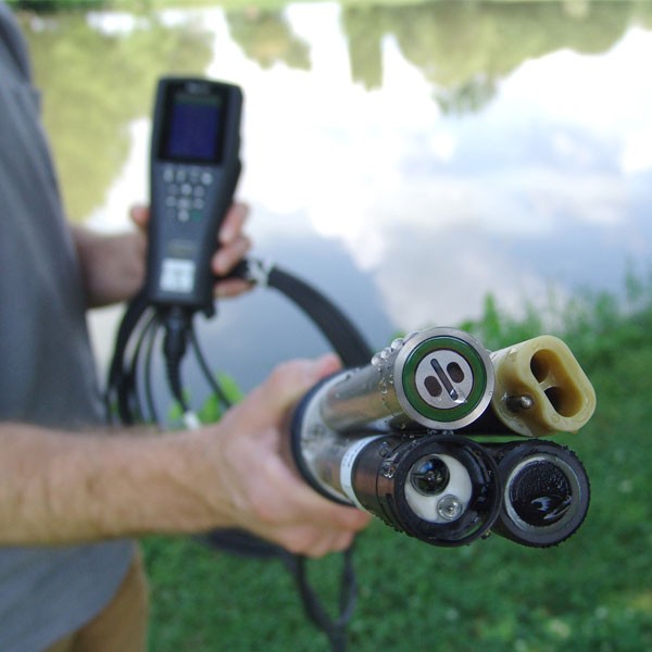 环境气象|空气质量|海洋环境|水质水文|植物生态