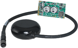 环境气象|空气质量|海洋环境|水质水文|植物生态