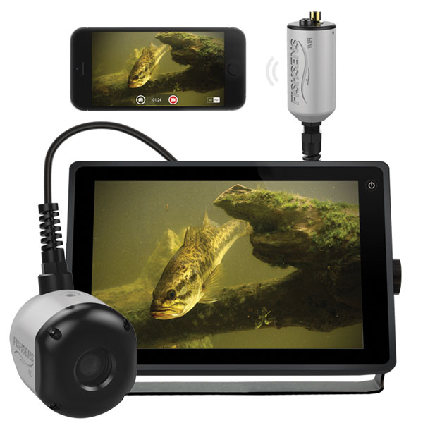 环境气象|空气质量|海洋环境|水质水文|植物生态 环境气象|空气质量|海洋环境|水质水文|植物生态