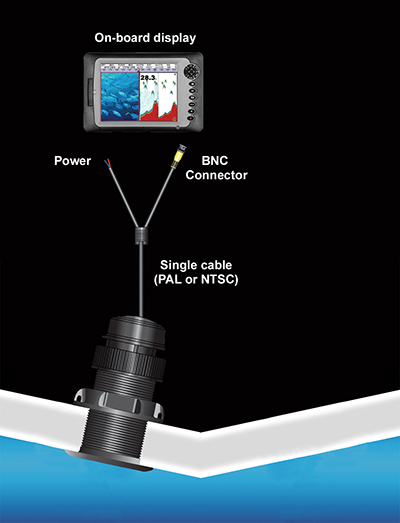 环境气象|空气质量|海洋环境|水质水文|植物生态
