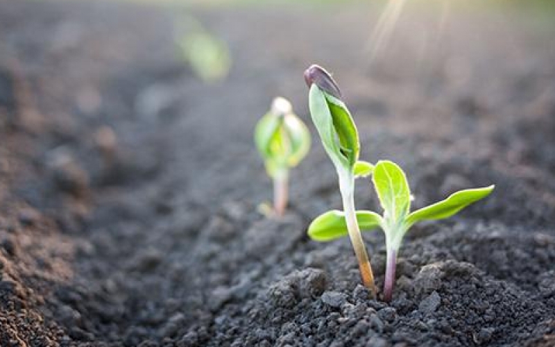 生态环境部首发六项土壤检测相关标准征求意见稿 涉及LCMS等方法